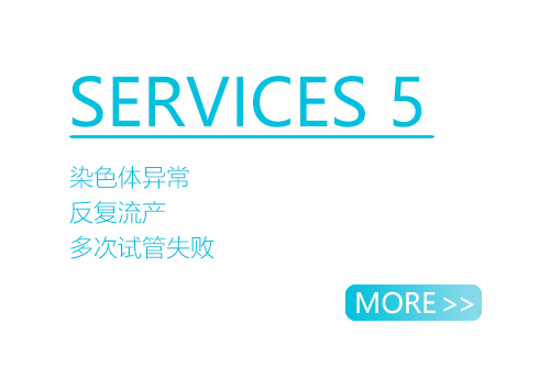 染色体异常/反复流产/多次试管失败