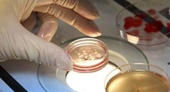 高龄备孕卵子老化怎么办?海外供卵试管婴儿助孕