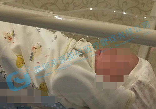 泰国试管婴儿圆梦