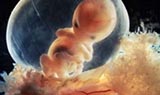 子宫肌瘤可以做试管婴儿吗?