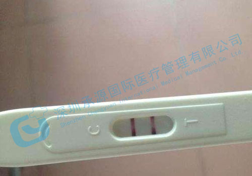 马来西亚试管婴儿,泰国试管婴儿,泰国试管婴儿中介,深圳承源国际医疗管理