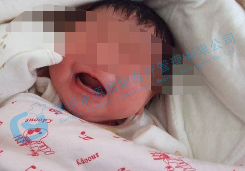 马来西亚试管婴儿,泰国试管婴儿,泰国试管婴儿中介,深圳承源国际医疗管理