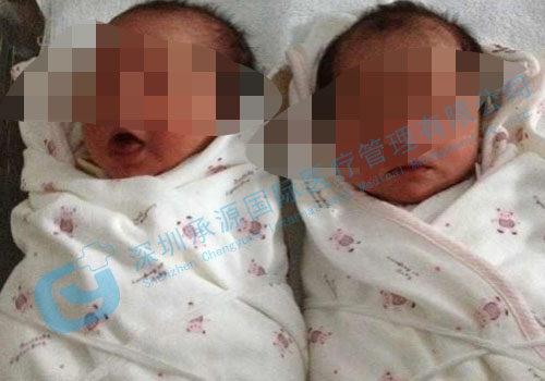 马来西亚试管婴儿,泰国试管婴儿,泰国试管婴儿中介,深圳承源国际医疗管理