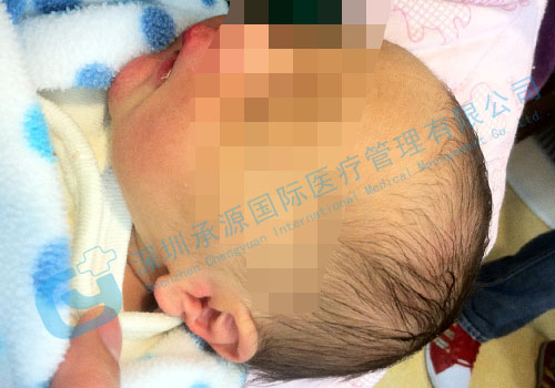 41岁单身女性，捐精试管活出自我！