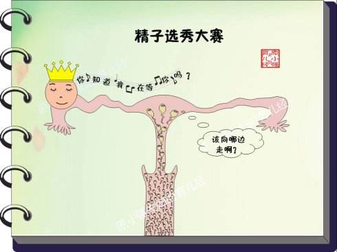 卵巢功能不好能做试管婴儿吗