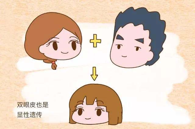 遗传规律告诉你：试管宝宝像谁，智商高不高!