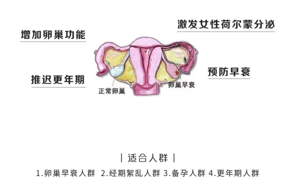 承源国际干细胞抗衰项目介绍