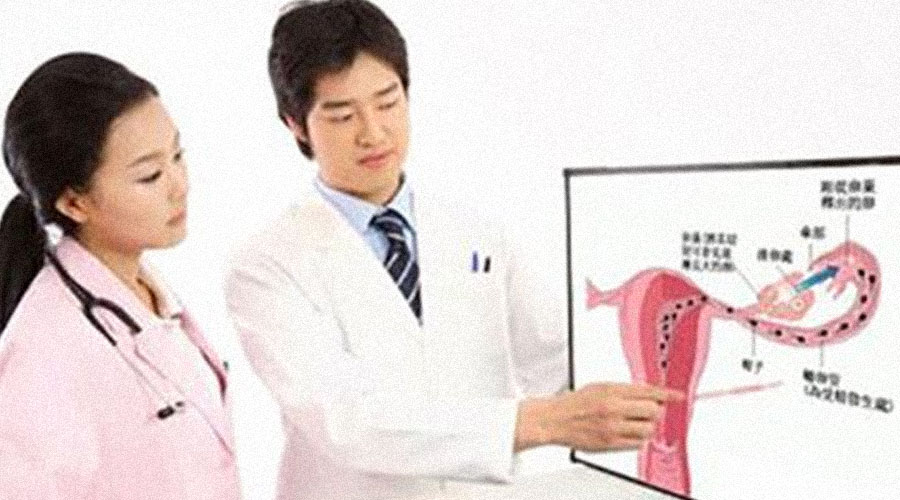 9种子宫问题对试管婴儿胚胎着床的影响