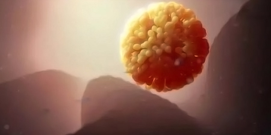 免疫性不孕不育可以做试管婴儿吗?