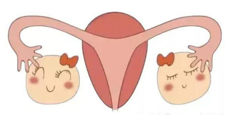 子宫纵膈对试管婴儿成功率影响大吗?